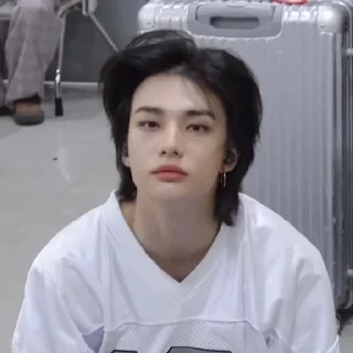 🌟 stray kids, sticker Telegram 19 sur 48