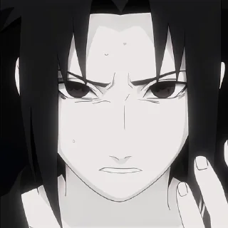 ㅤㅤㅤ° 🫐ㅤ . ⁺  ᴄᴀᴄᴋᴇ  ° ㅤ🐾