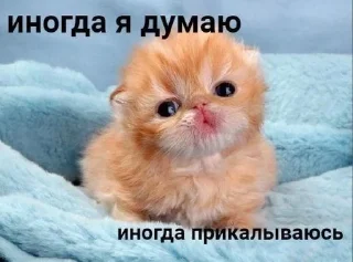 😀 в рот ебал названия придумыват, стикер Telegram 12 из 75