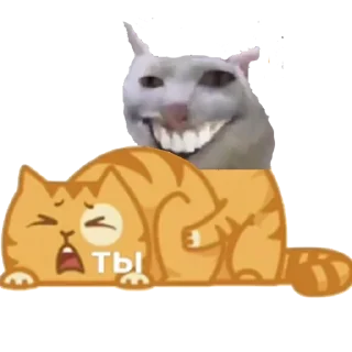 💋 /hw/я ты, sticker Telegram 9 sur 28