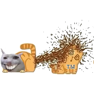 💩 /hw/я ты, sticker Telegram 14 sur 28