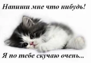 💔 vsu4ay, стікер Telegram 13 з 115