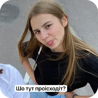 🫥 Черепашка, sticker Telegram 21 sur 72