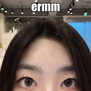 🐺 sohyun ✦ @coffiesticks, sticker Telegram 19 sur 20