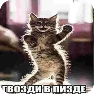 🔨 меня косоёбит, Telegram sticker 8 of 22