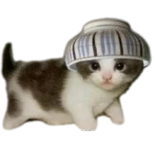 🍜 меня косоёбит, Telegram sticker 12 of 22