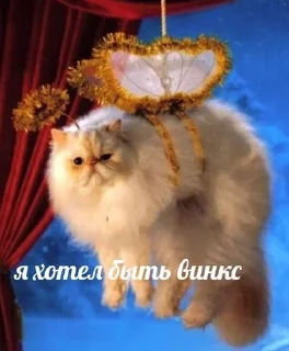 🌟 HyyPieceda, стікер Telegram 11 з 48
