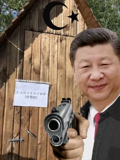 ☪️ китай стикер, стікер Telegram 14 з 68