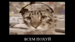 😑 Жоско, Telegram sticker 14 of 50