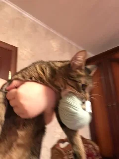 🥰 пух и жмых, стікер Telegram 23 з 71