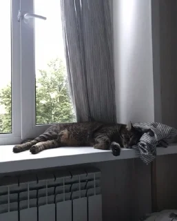 🛌 пух и жмых, стікер Telegram 11 з 71