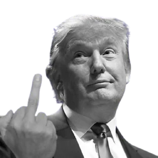 🖕 Donald Trump, sticker Telegram 14 sur 35