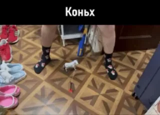 🐎 Крейзи мега дед, sticker Telegram 16 sur 120