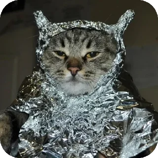 🐱 Бред?, Telegram sticker 13 of 54