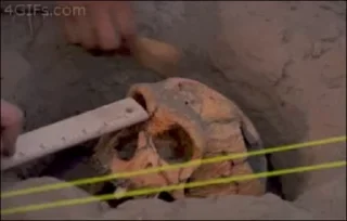 🔨 Skeletons, стикер Telegram 23 из 30