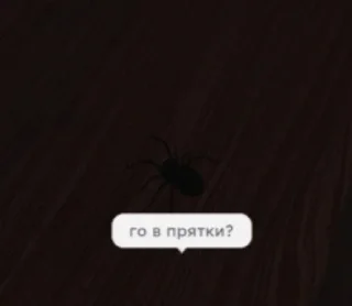 🌟 Типа дорс @S80990415, @S2nek2, стікер Telegram 17 з 31