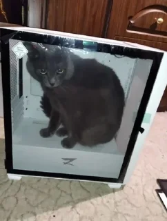 🙀 Компуктер пак, Telegram sticker 8 of 51