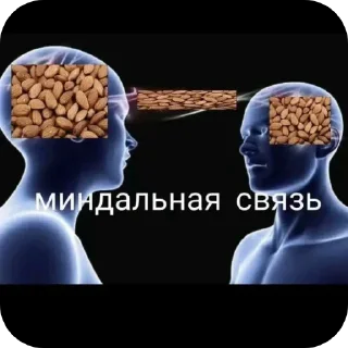 🌰 Тамерланские стикеры часть 1 начало, Telegram sticker 9 of 120