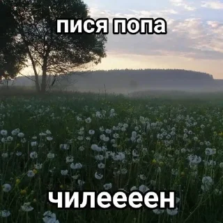 🫣 Ипать., sticker Telegram 10 sur 47
