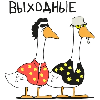 🥳 Geese @gsomu, стікер Telegram 23 з 39