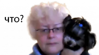 👵 шизтех 0_о, стикер Telegram 16 из 20