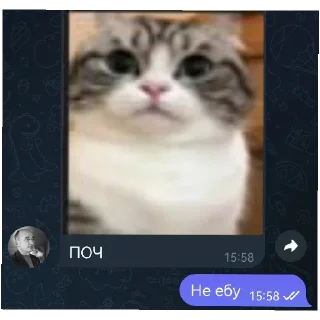 😰 НКП(б) 2.0, Telegram sticker 7 of 50