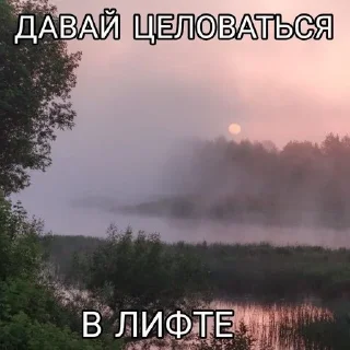 ❤️ жиз пички, стікер Telegram 23 з 96
