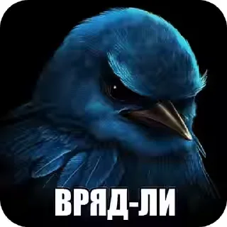мяу