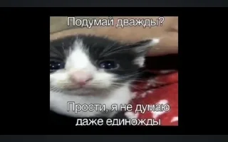 🌟 Мать ебал, Telegram sticker 10 of 78