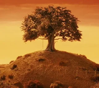 Fantastic mr. Fox