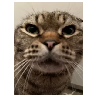 🥰 onitsha, стікер Telegram 15 з 120