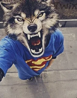 🌟 кандиции :: @interrfinity_tgc, стікер Telegram 4 з 34