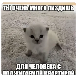 🫥 Приколи, sticker Telegram 9 sur 11