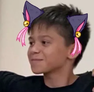 😼 Максик, sticker Telegram 10 sur 42