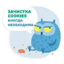 OTUS coding Owl