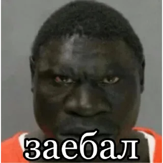 фердинанд стайл