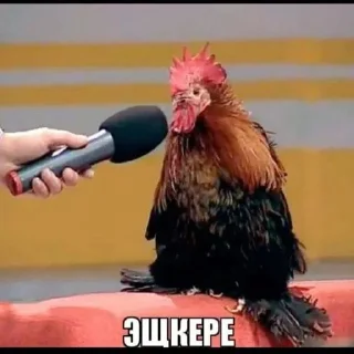 🌟 Стикеры, Telegram sticker 10 of 119