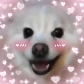 ❤️ пес степана, стикер Telegram 16 из 34