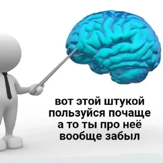 Муд Курилки: