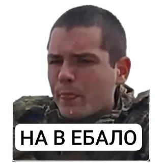 🪖 АЛЬБЕРТ EMOJI, стікер Telegram 23 з 58