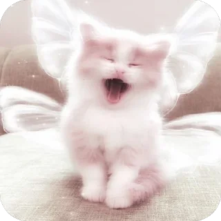 🤭 Личные кити Полины, Telegram sticker 5 of 57