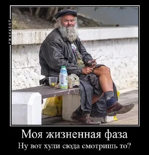 🌟 All random, стикер Telegram 12 из 120