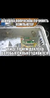 🌟 О нет дота 2, sticker Telegram 14 sur 120