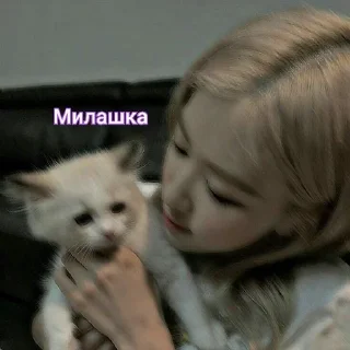 🐈‍⬛ Effective Tuna, стікер Telegram 14 з 20