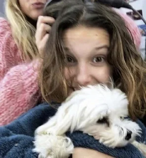 🌟 millie boby brown, Telegram sticker 17 of 36