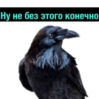 @TVstickers Ruin