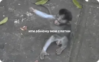 🌟 GIFS by @pon_search_bot, стікер Telegram 7 з 50