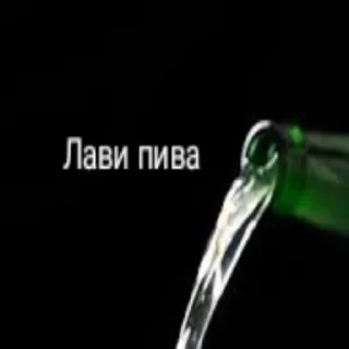 Pivo