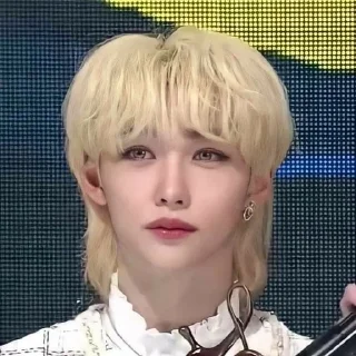 ~Stray☆kids~