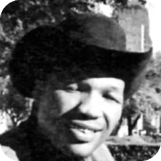 👍 Cleveland "big cat" Williams, Telegram sticker 20 of 41